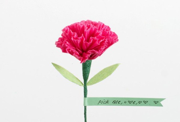 Mother’s Day Carnation Handmade Paper Flowers DIY Tutorial with Illustrated Steps