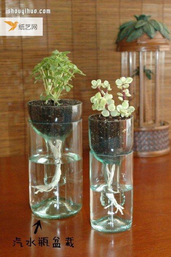 Use waste to make personalized creative flowerpots and potted plants