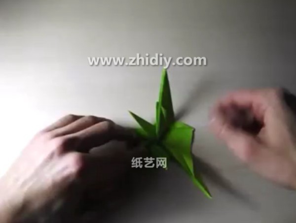 Origami video tutorial for handmade origami water scorpion