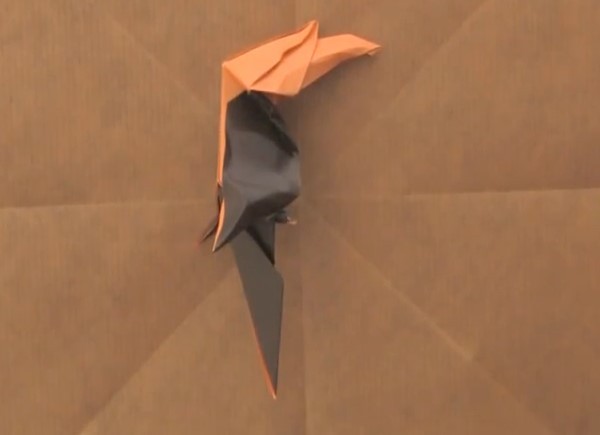 Origami Bird Collection - Origami Hornbill Video Tutorial