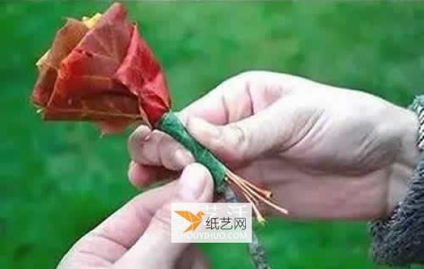 Illustration of how to make roses using maple leaves