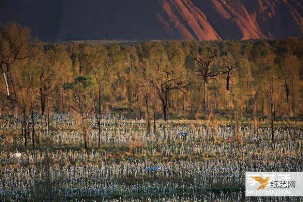 Using 50,000 light bulbs, a unique field of light shines in the heart of Australia