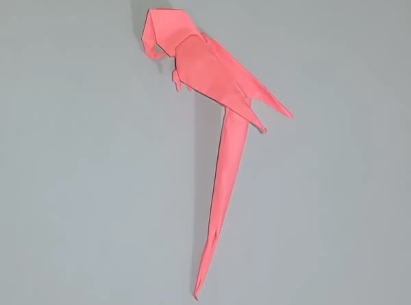 How to fold a three-dimensional origami parrot