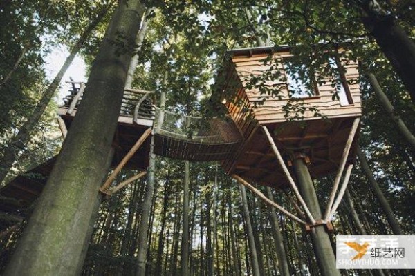 Find the corner where your heart stops and truly live in the tree house of your childhood dreams