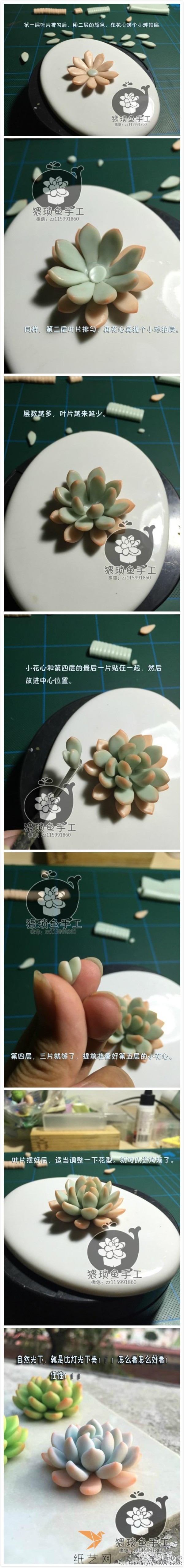 The wretched fish master’s Abao color and succulent tutorial