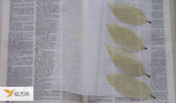 Tutorial on the simplest way to make leaf vein bookmarks by yourself