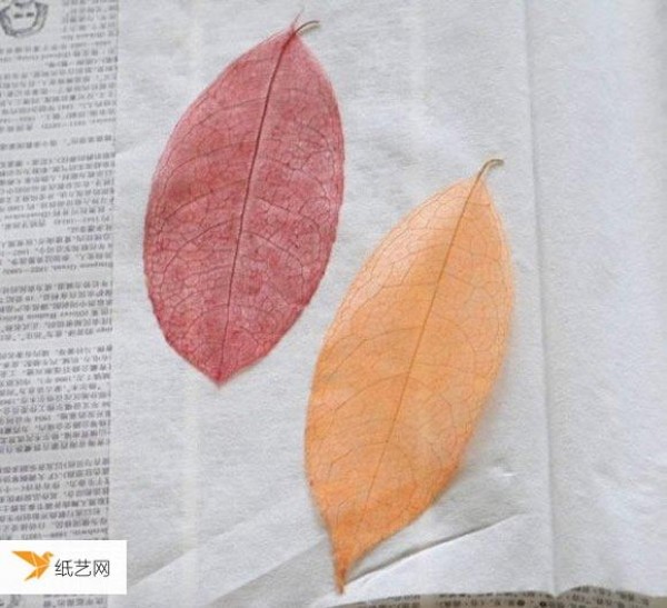 Tutorial on the simplest way to make leaf vein bookmarks by yourself