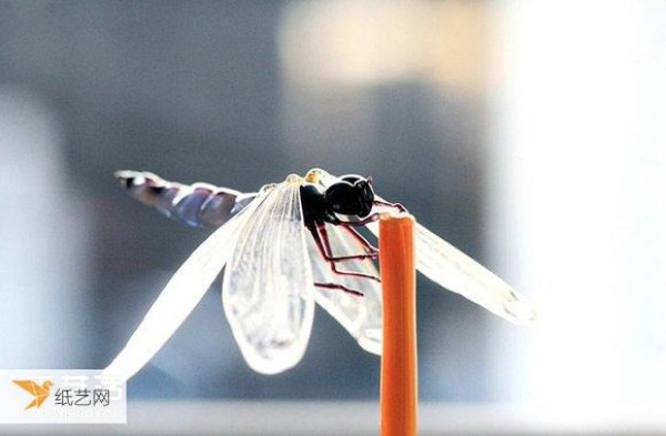 Bloom with tiny brilliance! Glass insect sculptures that test your eyesight and skills