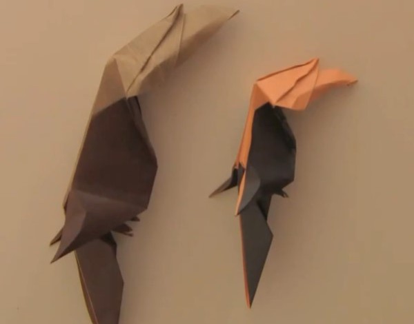 Origami Encyclopedia - A step-by-step tutorial on how to origami a hornbill