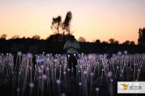 A unique field of light made with 50,000 light bulbs shining in the heart of Australia