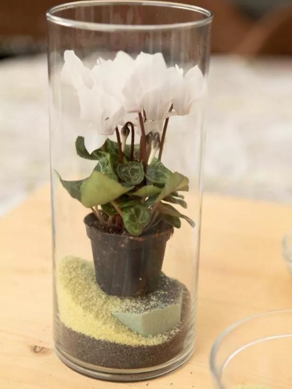 Wine glass makeover! Illustrated tutorial on the beautiful quicksand bottle with small green plants