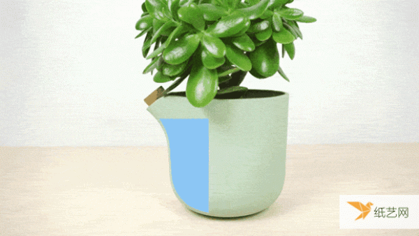 A crooked waist means a lack of water. Self-balancing flower pots allow watering to be traced.