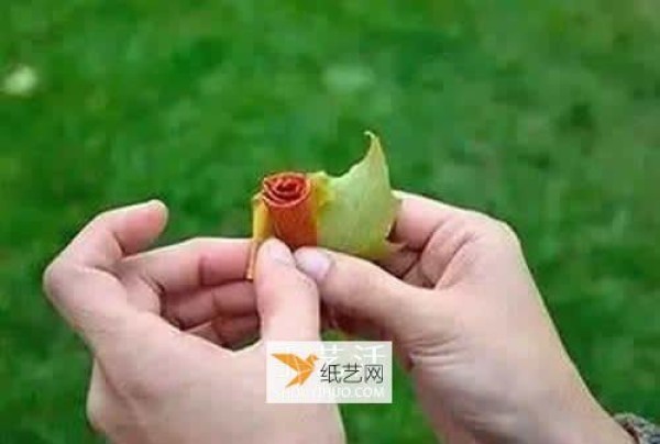 Illustration of how to make roses using maple leaves