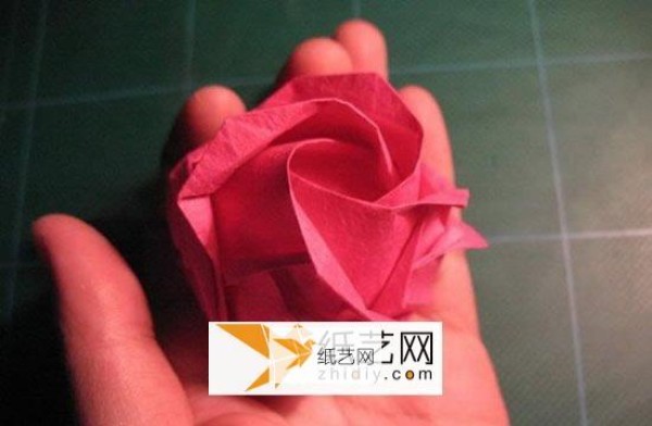 Detailed analysis of the folding method of GG roses