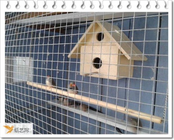 Tutorial on how to use your own space to transform a chicken coop into a personalized birdhouse