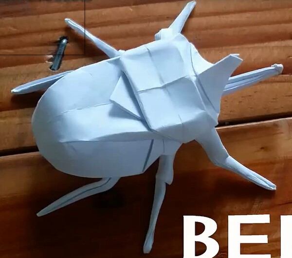 Origami Insects—Origami Beetle Video Tutorial