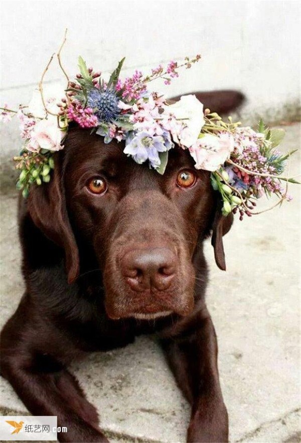 Handmade dreamy flower crown that fulfills your flower fairy dream