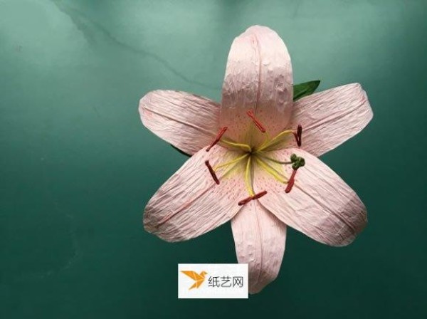 How to make simple lilies by hand