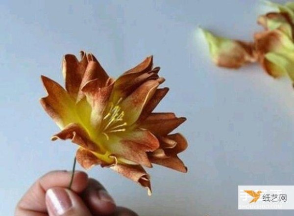 Detailed step-by-step tutorial on how to make flowers using sponge paper