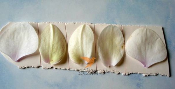 Tutorial on how to make Phalaenopsis artificial flowers made of ultra-light clay