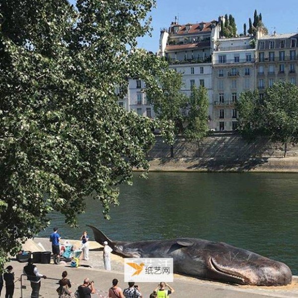 Stunning installation art! Sperm whale stranded on the banks of the Seine