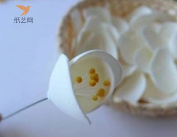 Nonwoven Tutorial Nonwoven White Begonia Bouquet DIY Making Tutorial