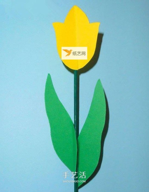 Make tulip flowers using colored cardboard