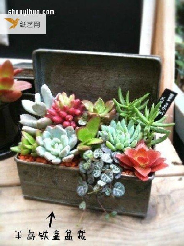 Use waste to make personalized creative flowerpots and potted plants