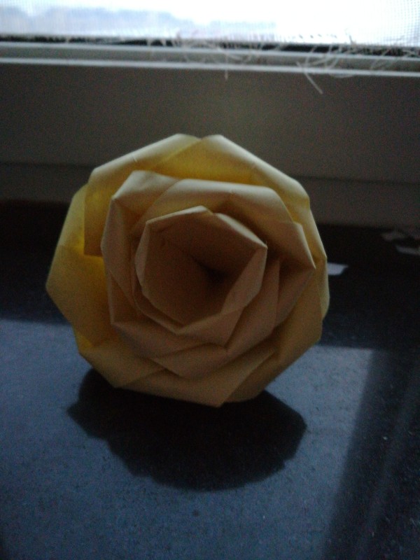 16 paper roll roses