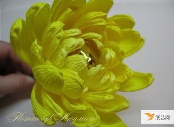 Sharing the illustrated tutorial on how to make yellow chrysanthemums using crepe paper