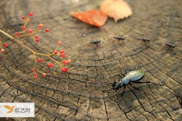 Bloom with tiny brilliance! Glass insect sculptures that test your eyesight and skills