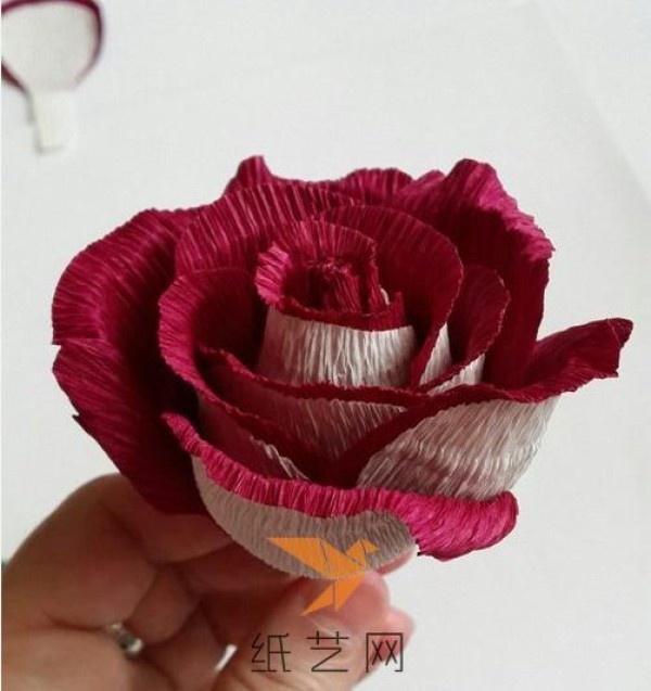 Beautiful two-color rose making tutorial