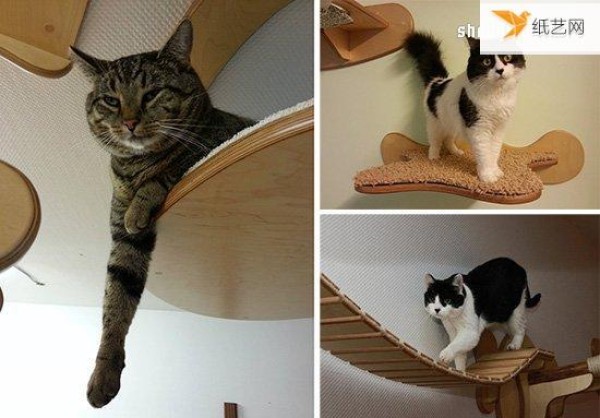 The unique cat climbing frame that makes cats and cats happy like an aerial paradise