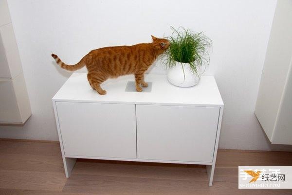 The product concept and design of the hide-and-seek paradise that truly considers the needs of cats