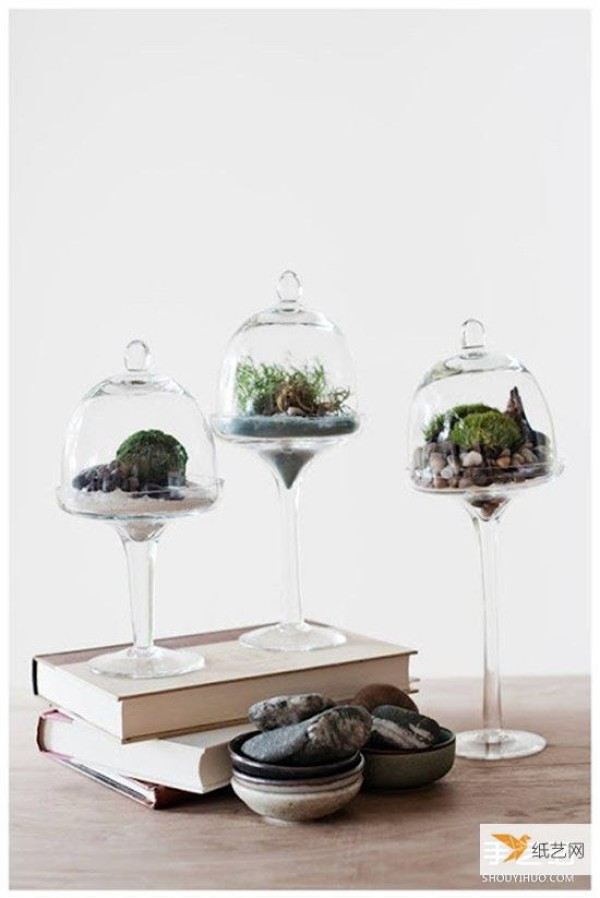 How to make bonsai plants using the little things you have at home