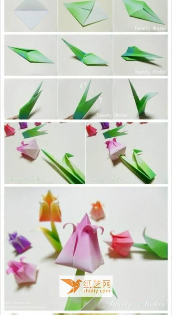 Origami Tulip Illustrated Tutorial