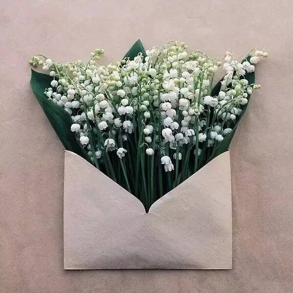 A piece of paper and a few flowers give you the most beautiful love letter