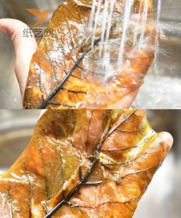 Tutorial on turning waste into treasure. Simple wind frame painting made of leaves