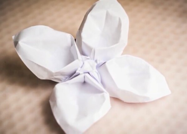 Origami flower handmade video tutorial