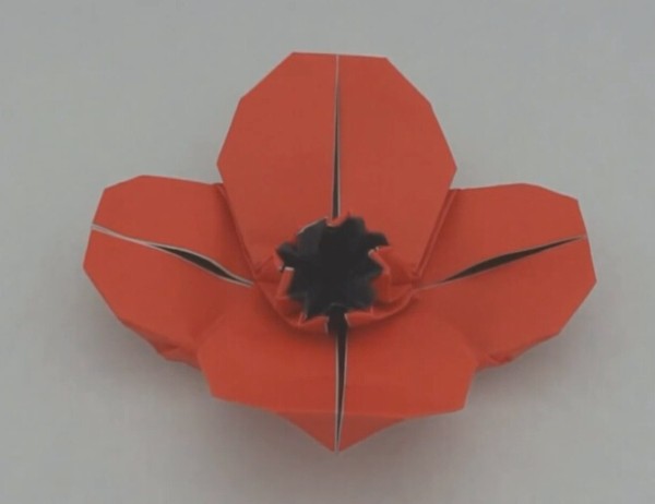 Origami Flowers Origami Poppy Flower Origami Tutorial