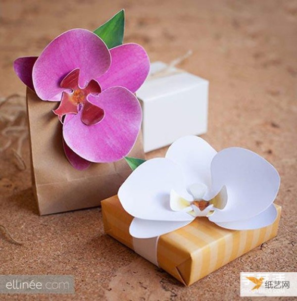 Illustrated tutorial on how to fold orchids by hand using cardboard