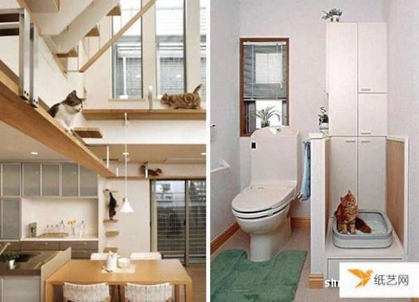 Turn human residence into a cat’s dream amusement park