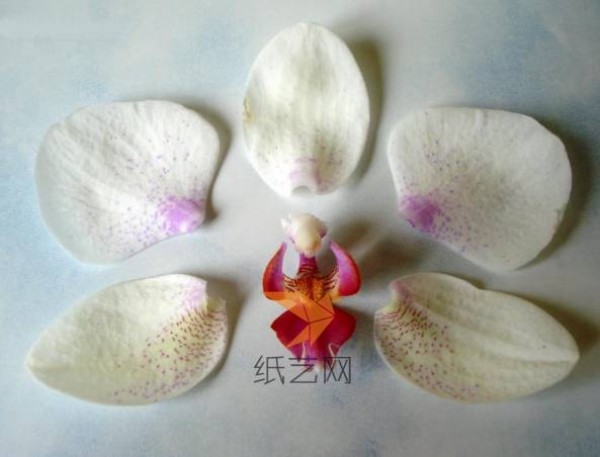 Tutorial on how to make Phalaenopsis artificial flowers made of ultra-light clay