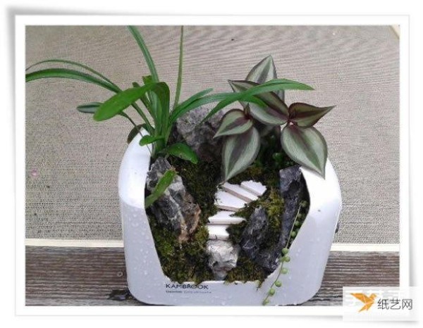 A beautiful miniature garden bonsai made from an old toaster