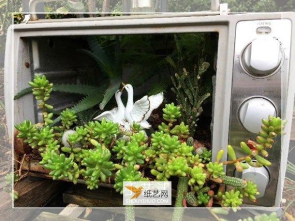 How to repurpose old oven waste into garden bonsai