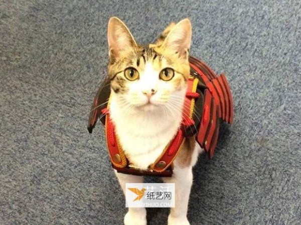 Use samurai armor to transform cute cats and dogs into handsome samurai adults