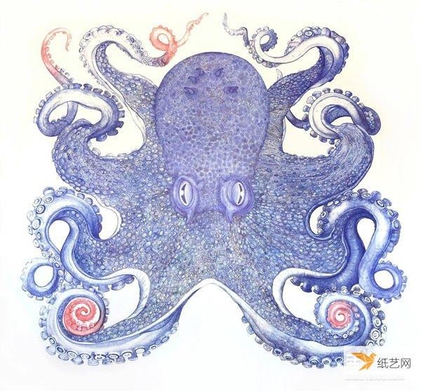 It took a year to draw a realistic and domineering giant octopus using a ballpoint pen.