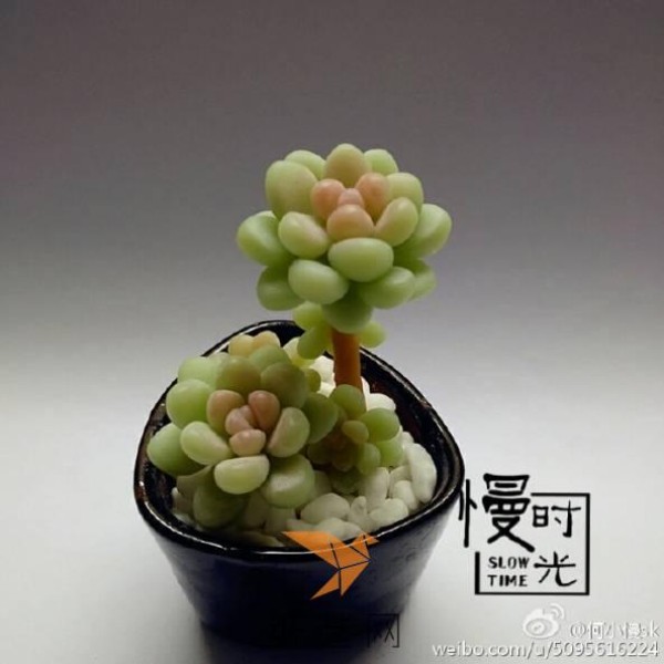 He Xiaoman’s succulent clay tutorial is here! ! !