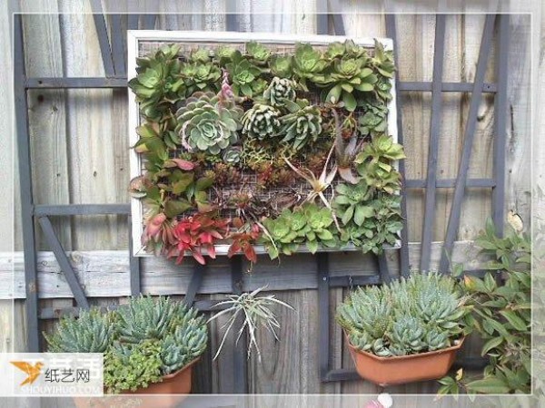 Succulent plant pots specially made from old picture frames