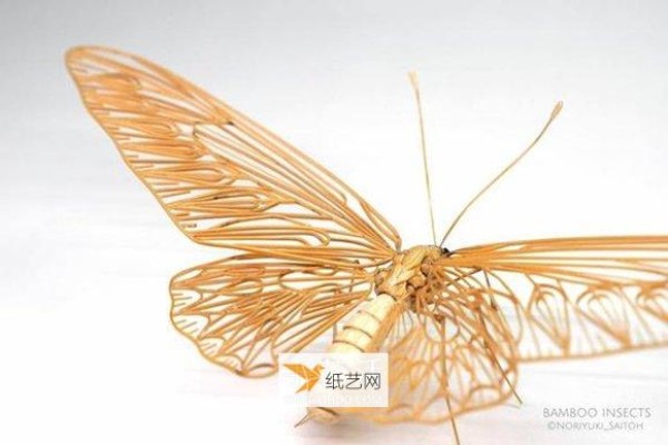 Delicately realistic insect models made from bamboo